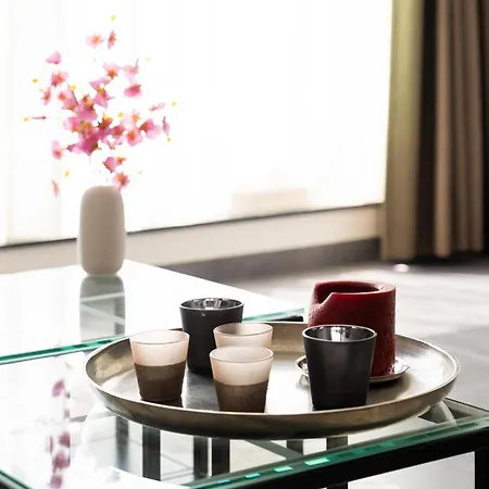 Apartment Duplex In Near Koksijde